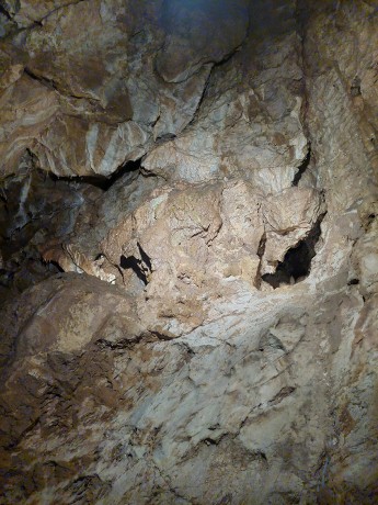 521297126_720088824157551_5683890658705426538_n