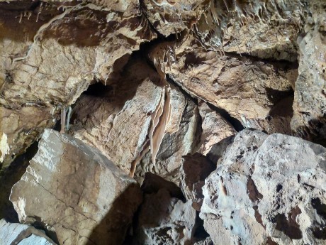 522718410_720089604157473_6663432807090354124_n