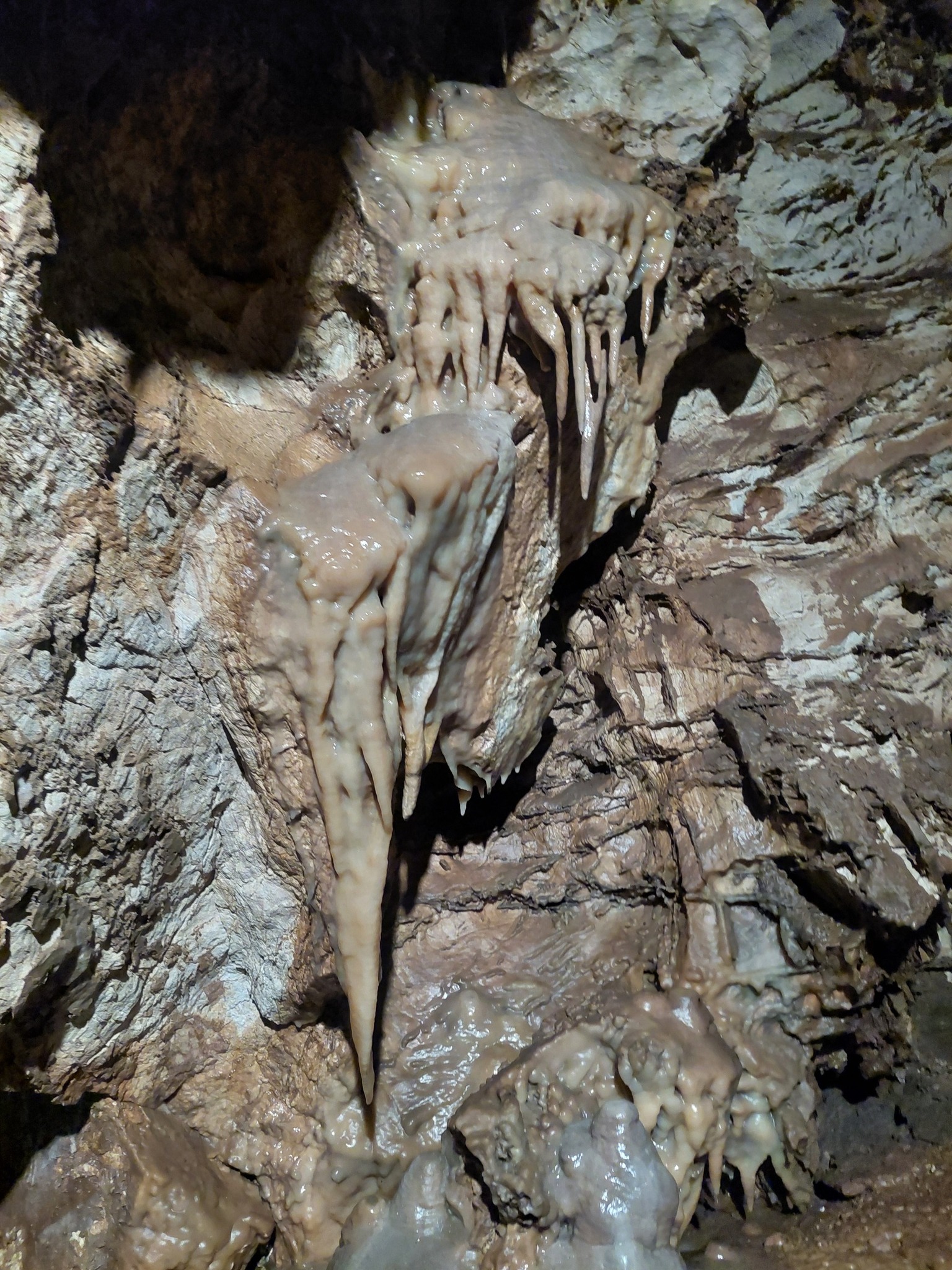 521293978_720089190824181_1998758916202988971_n