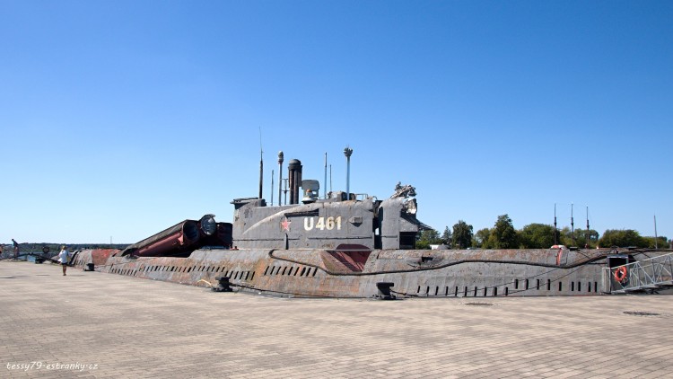u461.jpg